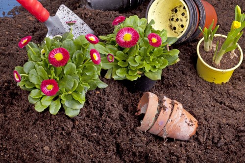 Gardener reviewing a service complaint in a garden setting