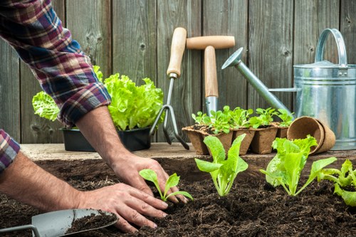 Illustration representing accessible gardening information for Monken Hadley users