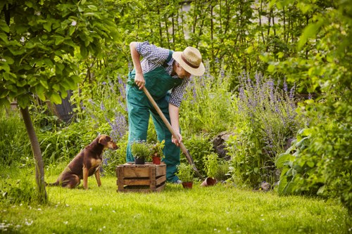 Seasonal pruning and hedge trimming in Monken Hadley garden