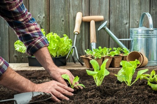 Outdoor gardening team following safety procedures