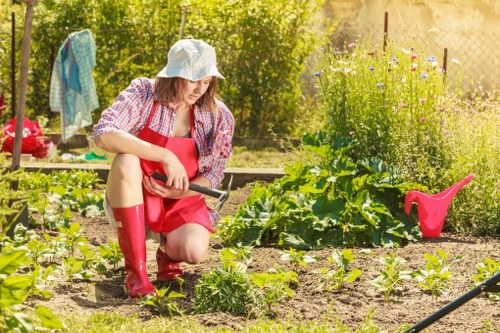 Professional garden maintenance and hedge care in Monken Hadley