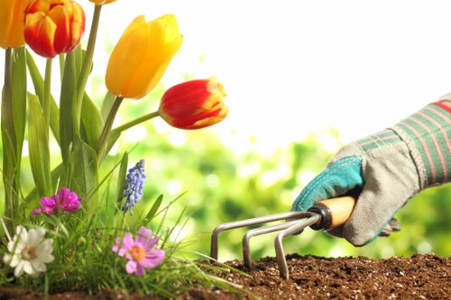 Experienced gardeners maintaining a healthy outdoor space in Monken Hadley