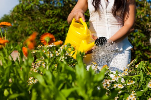 Professional grass cutting in a leafy Monken Hadley outdoor space