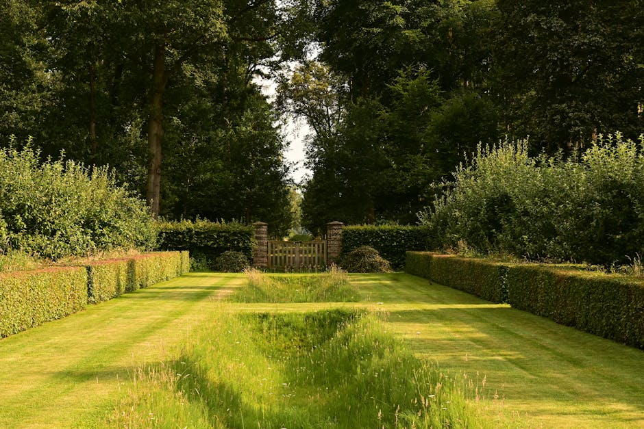 A well-maintained garden featuring a lush green lawn with neatly trimmed grass, surrounding a circular flower bed with blooming yellow tulips and two rounded, coniferous shrubs. In the background, the