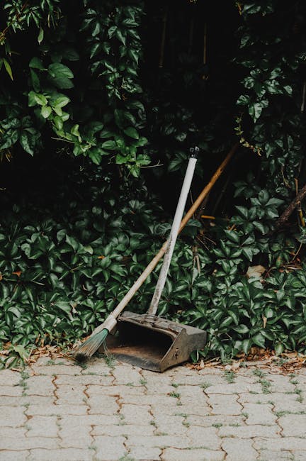 Hadley Green garden clearance services what to know