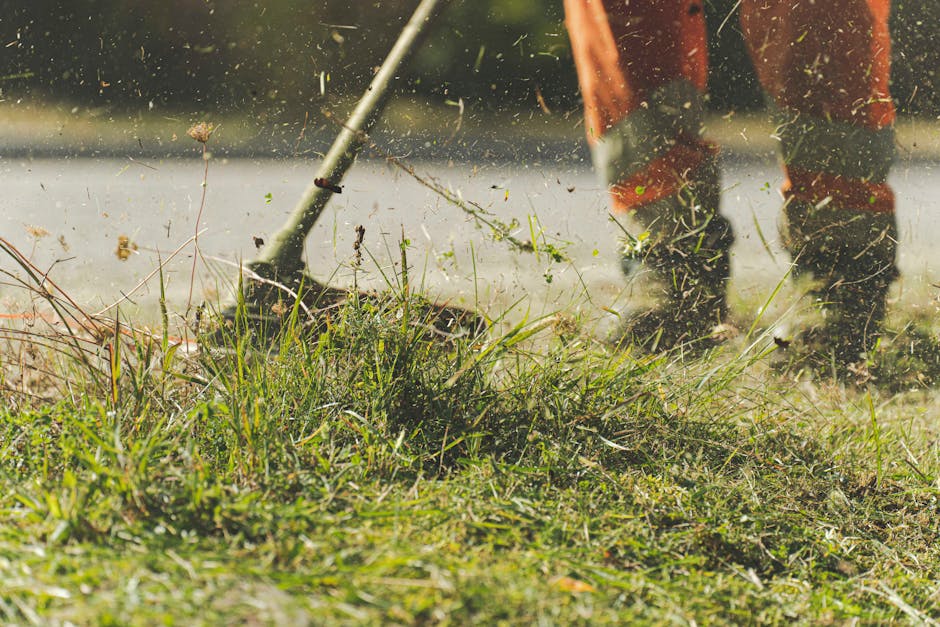 A neatly paved pathway made of interlocking bricks runs alongside a dense hedge of dark green, glossy leaves, which appear well-maintained. Resting against the hedge are two gardening tools: a broom w